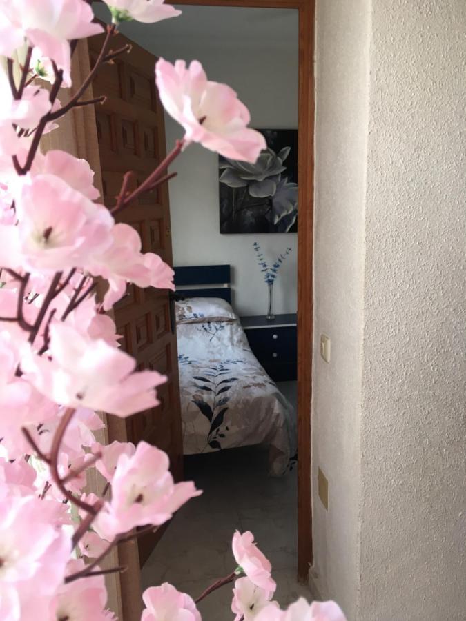 Casa Phoenix Bed & Breakfast Bed & Breakfast La Marina Ngoại thất bức ảnh