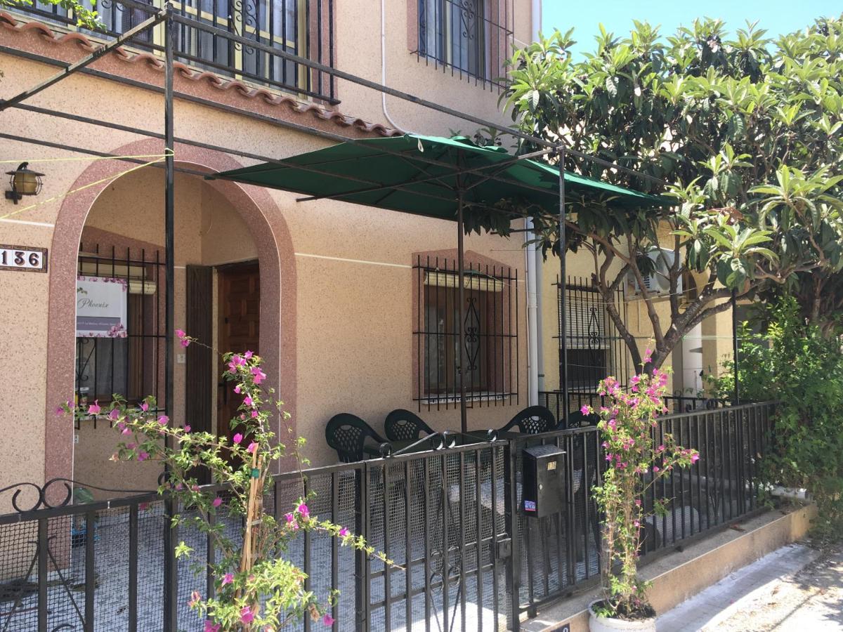 Casa Phoenix Bed & Breakfast Bed & Breakfast La Marina Ngoại thất bức ảnh
