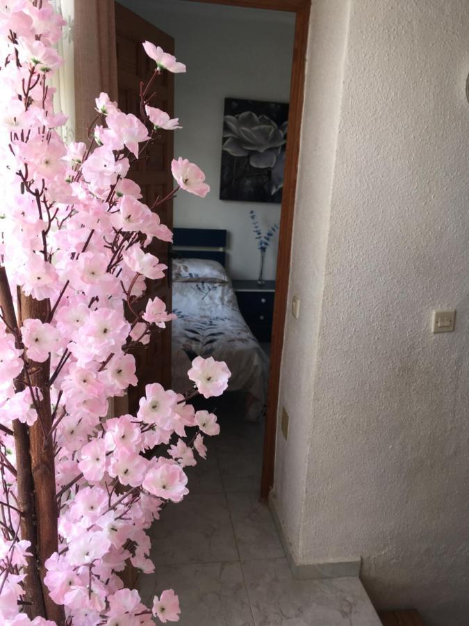 Casa Phoenix Bed & Breakfast Bed & Breakfast La Marina Ngoại thất bức ảnh
