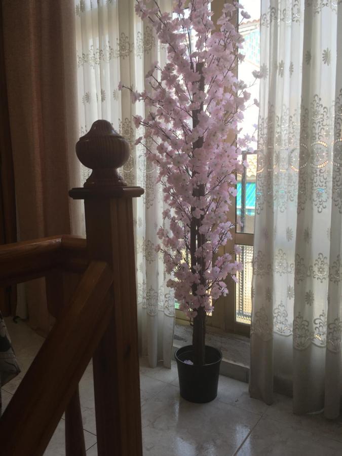 Casa Phoenix Bed & Breakfast Bed & Breakfast La Marina Ngoại thất bức ảnh